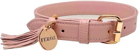 collar de lujo oxford